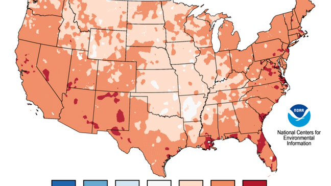 2020 Temperature Trend 